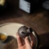 Zini Plum Kyusu 80ml Yixing Teapot