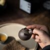 Zini Plum Kyusu 80ml Yixing Teapot