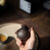 Zini Plum Kyusu 80ml Yixing Teapot