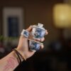 Handmade Hand-painted Qinghua Ceramic Mini 50-60ml Gaiwan Set Ship In 30 Days
