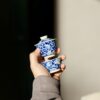 Handmade Hand-painted Qinghua Ceramic Mini 50-60ml Gaiwan Set Ship In 30 Days