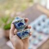Handmade Hand-painted Qinghua Ceramic Mini 50-60ml Gaiwan Set Ship In 30 Days