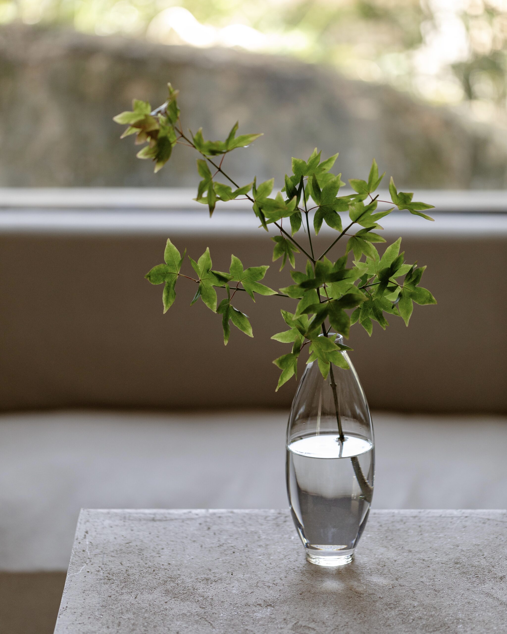 Elegant Glass 850ml Cold Brew Bottle7 Elegant Glass 850ml Cold Brew Bottle