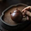 Jiang Po Ni Yu Lu 100ml Yixing Teapot