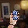 Handmade Hand-painted Qinghua Ceramic Mini 50-60ml Gaiwan Set Ship In 30 Days