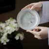 Spring Green Ceramic Willow and Swallow 100ml Gaiwan22 Spring Green Ceramic Willow and Swallow 100ml Gaiwan