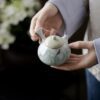 Spring Green Ceramic Willow and Swallow 100ml Gaiwan6 Spring Green Ceramic Willow and Swallow 100ml Gaiwan