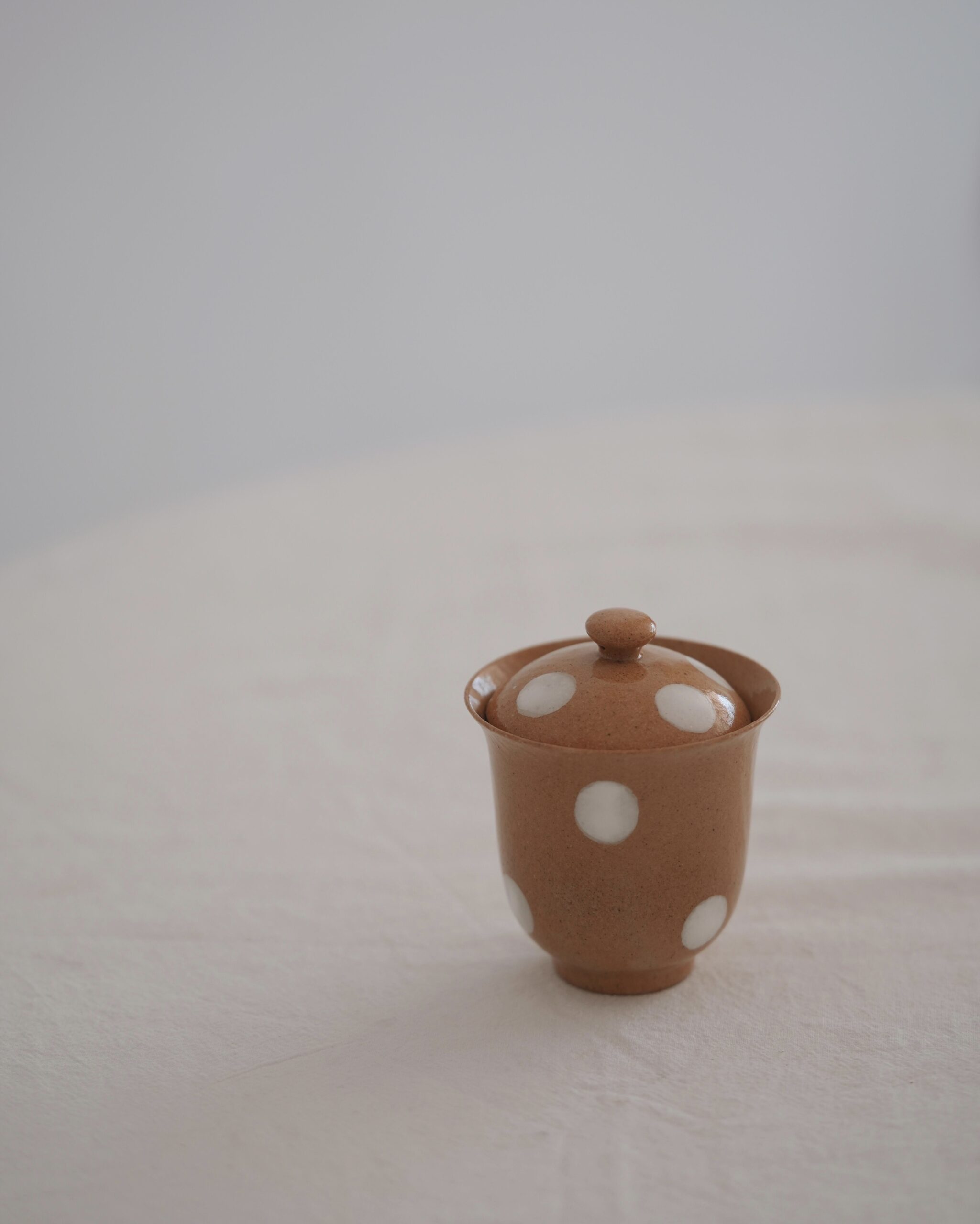 Processed with VSCO with a6pro preset Handmade Powder Glaze Ceramic Playful Polka 110ml Gaiwan