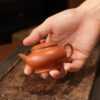 Fully Handmade Zhao Zhuang Zhuni Bian Deng Shui Ping 70ml Yixing Teapot