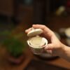Handmade Hand-painted Fen Cai Ceramic Longevity Peach 70ml Gaiwan Set Pre Order Ship In 20 Days