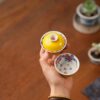 Handmade Hand-painted Qinghua Underglaze Red Wood-kiln Fired Porcelain goose-yellow glaze 65ml Gaiwan Set Pre Order Ship In 20 Days