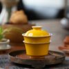 Handmade Hand-painted Qinghua Underglaze Red Wood-kiln Fired Porcelain goose-yellow glaze 65ml Gaiwan Set Pre Order Ship In 20 Days