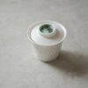Minimalist Porcelain Snowfall Crinkle Jade Knob 130ml Gaiwan