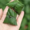 2026 粽子茶 Zong Zi Bamboo Leaves Keemun Tea
