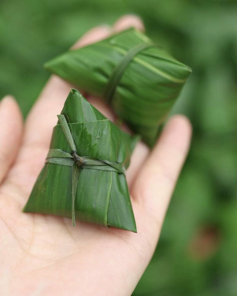 2026 粽子茶 Zong Zi Bamboo Leaves Keemun Tea