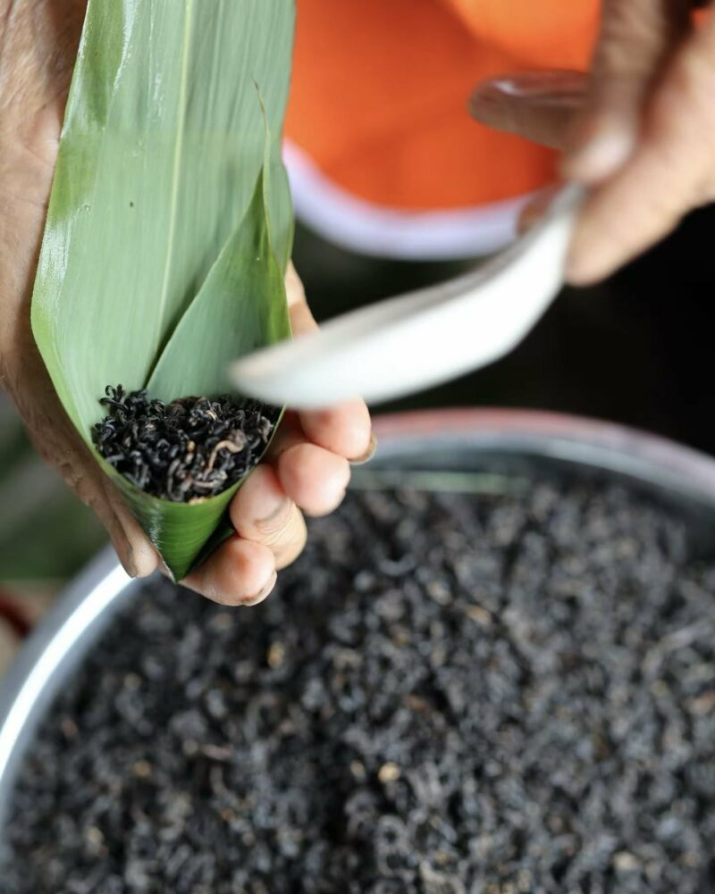 2026 粽子茶 Zong Zi Bamboo Leaves Keemun Tea