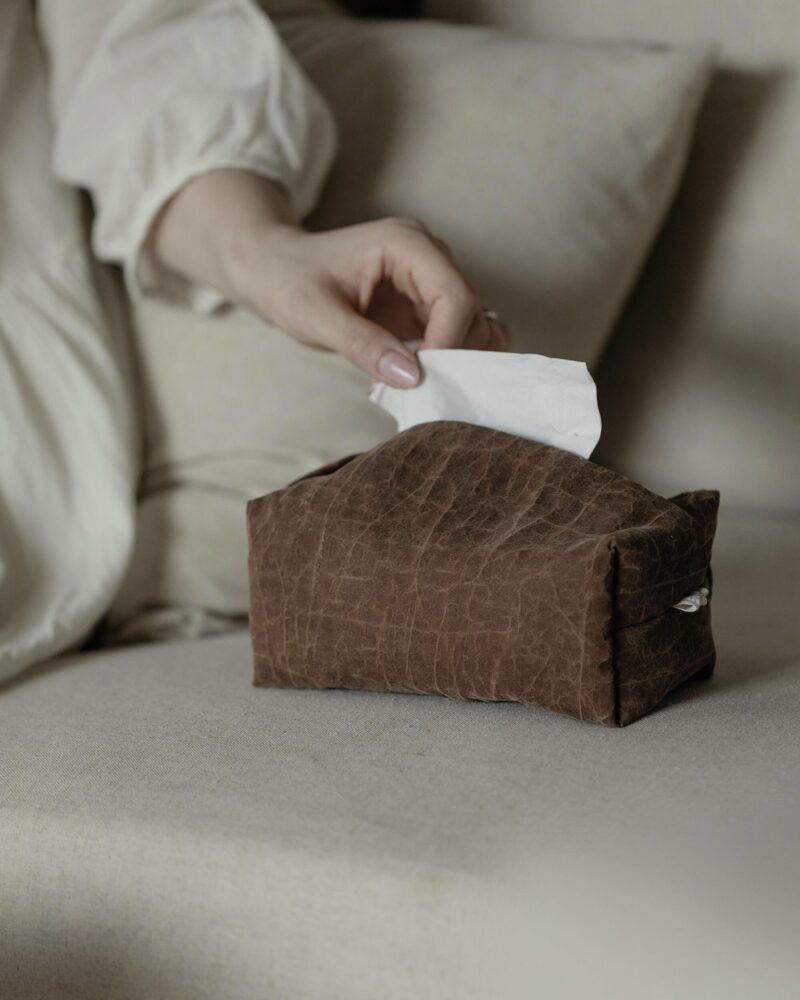 Artistic Chinese Style Brocade Fabric Tissue Box Cover