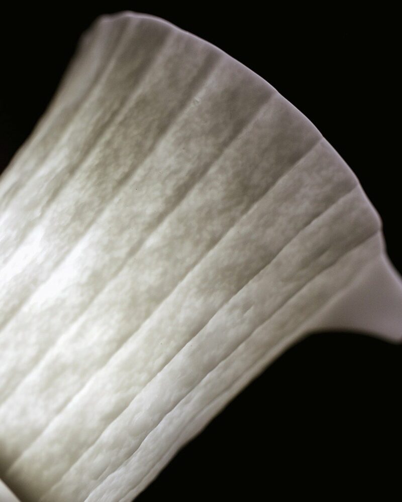 Handmade-White-Porcelain-Stone-Folded-Texture-230ml-Fair-Cup-Gong-Dao-Bei12 Handmade White Porcelain Stone Folded Texture 230ml Fair Cup Gong Dao Bei