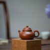 Half Handmade Zhuni Rong Tian 85ml Yixing Teapot