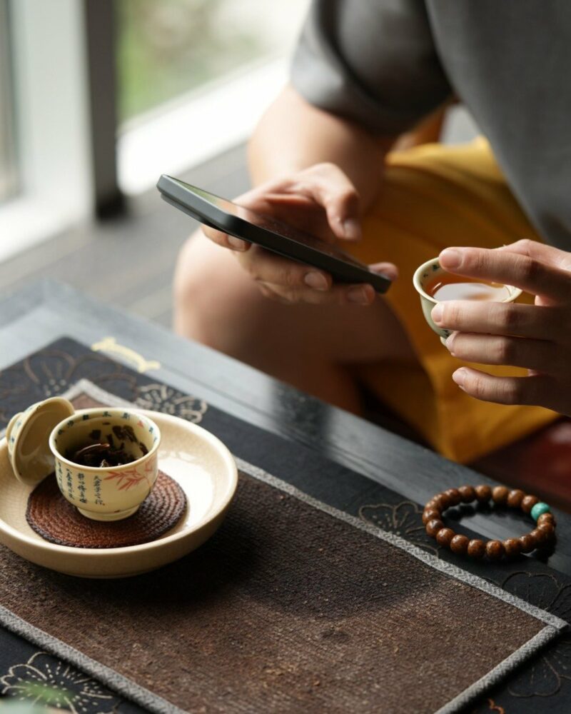 Hand-painted Qinghua Underglaze Red Porcelain Jie Zi Shu Calligraphy Bamboo and Rock 65ml Gaiwan Set