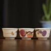 Handmade-Overglaze-decoration-Porcelain-Auspicious-Fu-Lu-Shou-50ml-Tea-Cup9 Handmade Overglaze decoration Porcelain Auspicious Fu Lu Shou 50ml Tea Cup