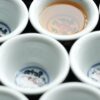 Handmade Qinghua Underglaze Red Porcelain Lingzhi 50ml Gaiwan Set