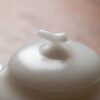Jade-like-Porcelain-Thin-Body-Xi-Shi-Style-Kung-Fu-Tea-Icy-Jade-White-Porcelain-Eggplant-100ml-Chinese-Teapot3 Minimalist Thin Body Icy Jade White Porcelain Eggplant 100ml Chinese Teapot