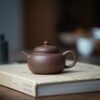 Half-Handmade-Zini-Pao-Zun-Shui-Ping-100ml-Yixing-Teapot8 Half Handmade Zini Pao Zun Shui Ping 100ml Yixing Teapot
