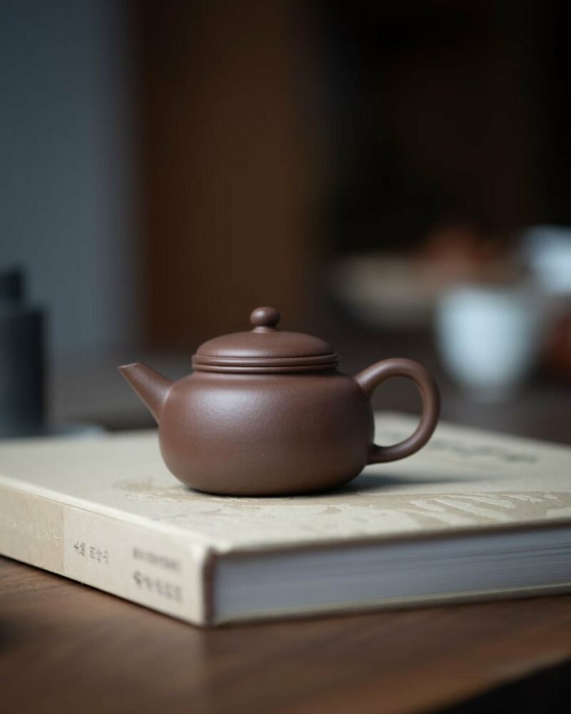 Half-Handmade-Zini-Pao-Zun-Shui-Ping-100ml-Yixing-Teapot8 Half Handmade Zini Pao Zun Shui Ping 100ml Yixing Teapot