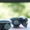 Hand-painted Qinghua Ceramic Translucent Rice Grain Intertwined Lotus 70ml Gaiwan Set