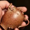 Tetera de Yixing «Duanni» de 90 cc, totalmente hecha a mano y cocida a leña, con relieve de ramas «Duanni»