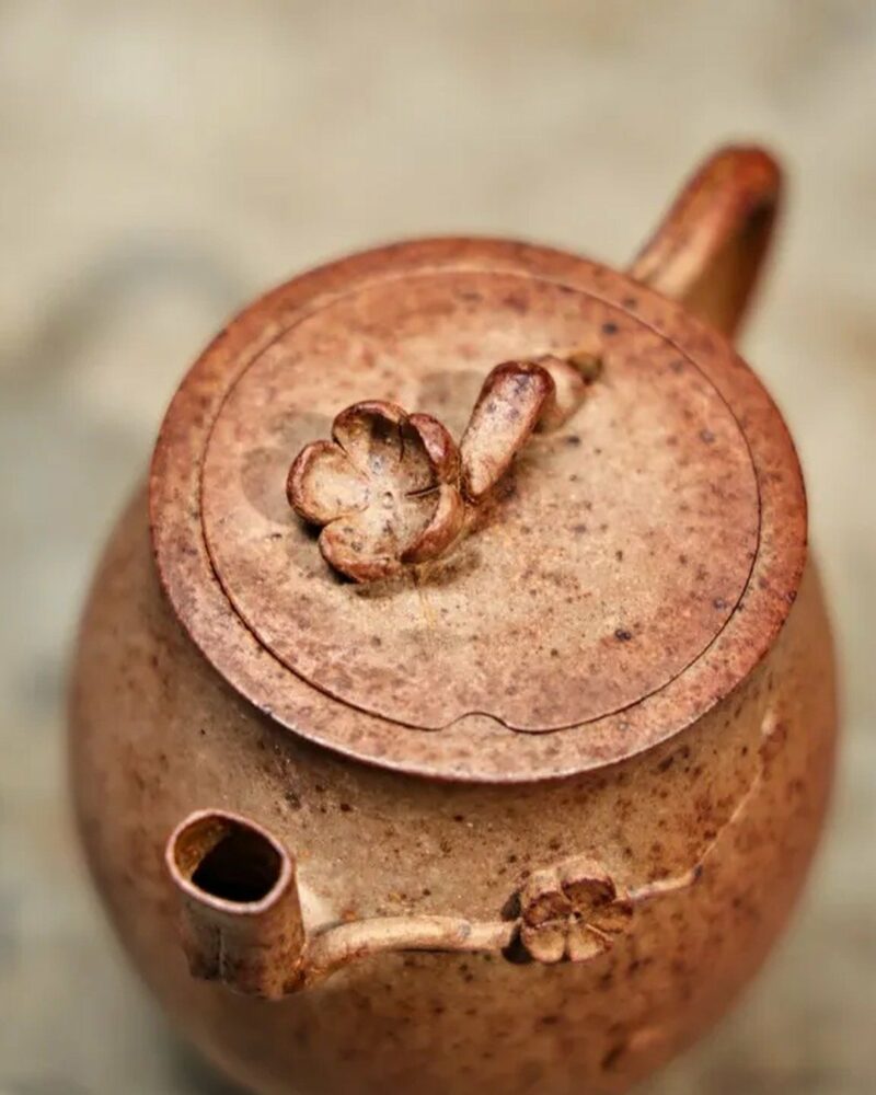 Tetera de Yixing «Duanni» de 90 cc, totalmente hecha a mano y cocida a leña, con relieve de ramas «Duanni»