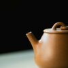 Half Handmade Duanni Tall Shi Piao 120ml Yixing Teapot