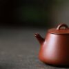 Half-Handmade-Xiao-Mei-Yao-Zhuni-Tall-Shi-Piao-80ml-Yixing-Teapot6 Half Handmade Xiao Mei Yao Zhuni Tall Shi Piao 80ml Yixing Teapot