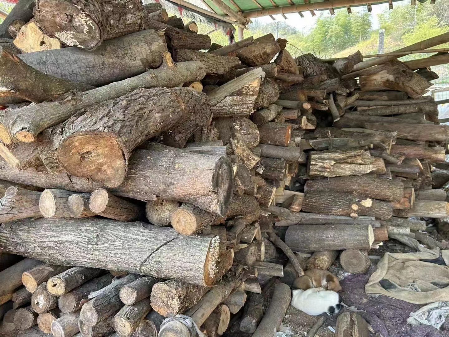 wood firing