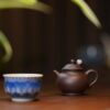 Half-Handmade-Zini-Pan-Hu-75ml-Yixing-Teapot5 Half Handmade Zini Pan Hu 75ml Yixing Teapot