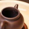 Half-Handmade-Zini-Pan-Hu-75ml-Yixing-Teapot7 Half Handmade Zini Pan Hu 75ml Yixing Teapot