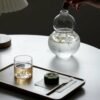 Minimalist Glass Double Gourd 650ml Cold Brew Bottle